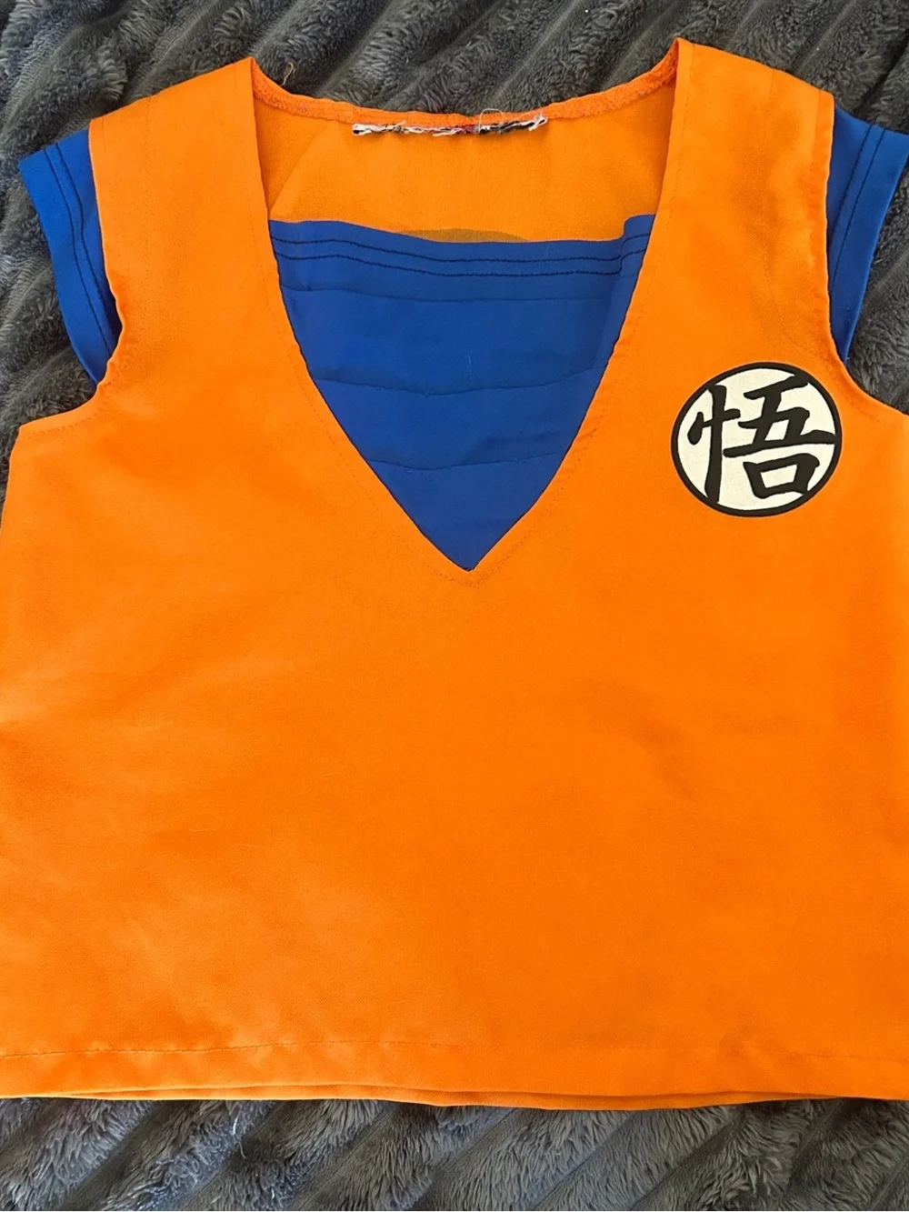 Orange and Blue Martial Arts Tunic with Emblem dragon ball z Goku top